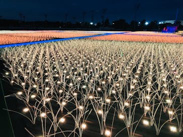 東京メガイルミに投稿された画像（2020/12/14）