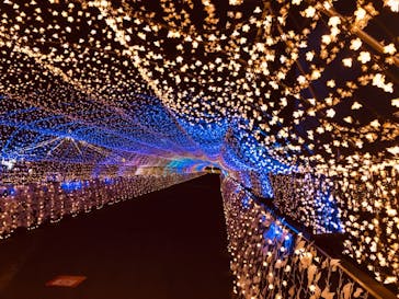 東京メガイルミに投稿された画像（2020/12/14）