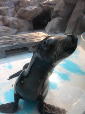 サンシャイン水族館に投稿された画像（2020/12/14）