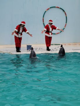 株式会社Gに投稿された画像（2020/12/14）