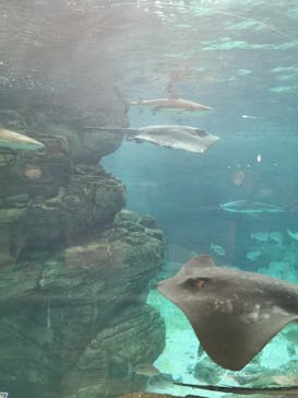 株式会社Gに投稿された画像（2020/12/14）