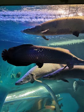 株式会社Gに投稿された画像（2020/12/14）