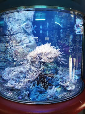 株式会社Gに投稿された画像（2020/12/14）