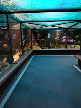 株式会社Gに投稿された画像（2020/12/14）