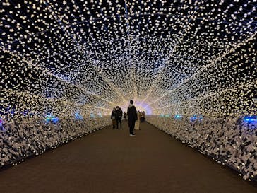 東京メガイルミに投稿された画像（2020/12/14）