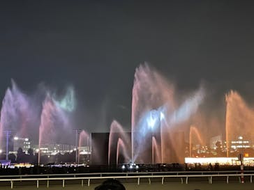 東京メガイルミに投稿された画像（2020/12/14）