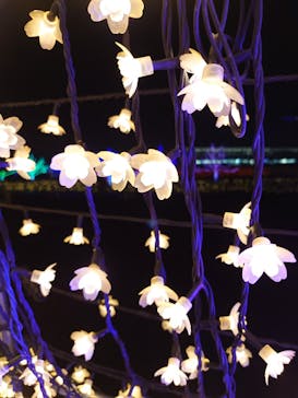 東京メガイルミに投稿された画像（2020/12/14）