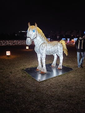 東京メガイルミに投稿された画像（2020/12/14）