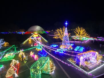 とっとり花回廊に投稿された画像（2020/12/14）