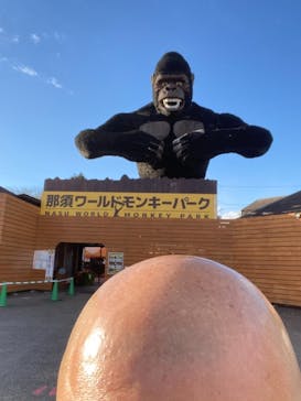 那須ワールドモンキーパークに投稿された画像（2020/12/14）
