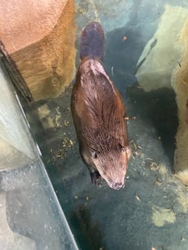 那須どうぶつ王国に投稿された画像（2020/12/14）