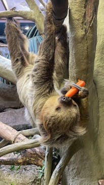 那須どうぶつ王国に投稿された画像（2020/12/14）