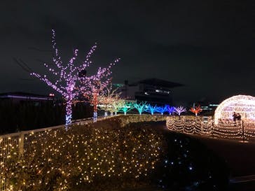 東京メガイルミに投稿された画像（2020/12/14）