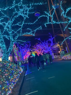 よみうりランド 遊園地に投稿された画像（2020/12/14）