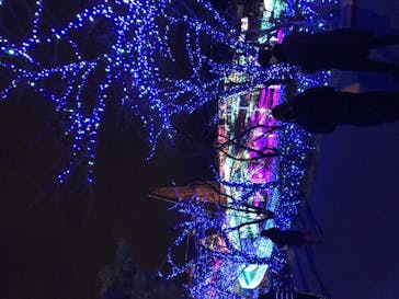 よみうりランド 遊園地に投稿された画像（2020/12/14）