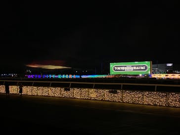 東京メガイルミに投稿された画像（2020/12/15）