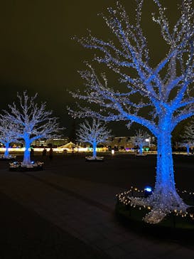 東京メガイルミに投稿された画像（2020/12/15）