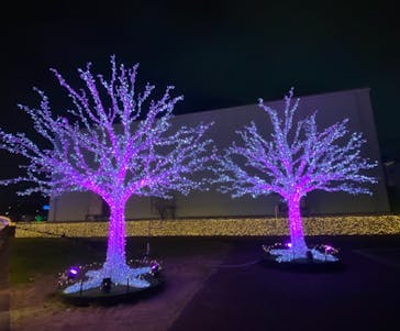 東京メガイルミに投稿された画像（2020/12/15）