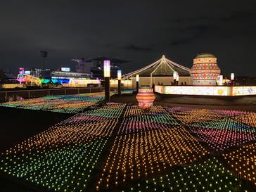 東京メガイルミに投稿された画像（2020/12/15）