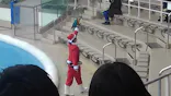 仙台うみの杜水族館に投稿された画像（2020/12/15）
