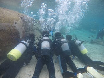 武藤潜水に投稿された画像（2020/12/15）