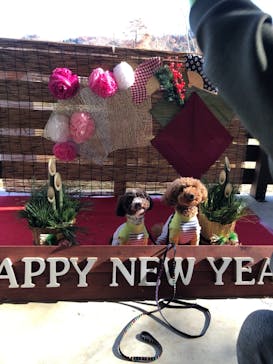 わんダフルネイチャーヴィレッジに投稿された画像（2020/12/15）