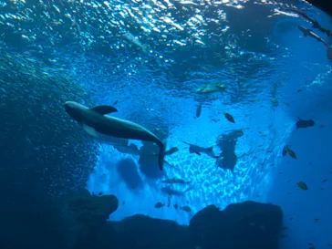 仙台うみの杜水族館に投稿された画像（2020/12/15）
