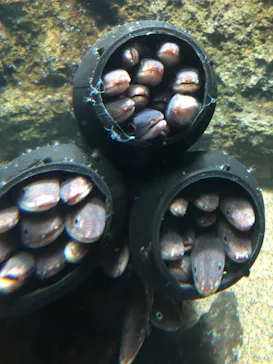 仙台うみの杜水族館に投稿された画像（2020/12/15）