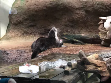 仙台うみの杜水族館に投稿された画像（2020/12/15）