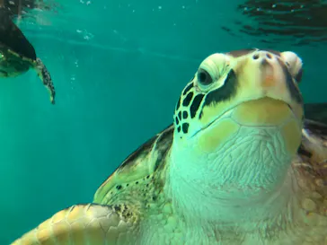 仙台うみの杜水族館に投稿された画像（2020/12/15）