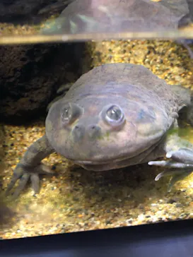 仙台うみの杜水族館に投稿された画像（2020/12/15）