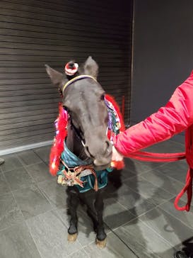 東京メガイルミに投稿された画像（2020/12/15）