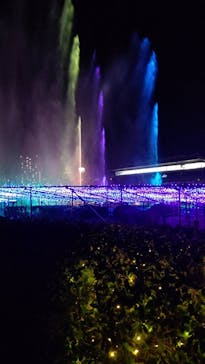 東京メガイルミに投稿された画像（2020/12/15）