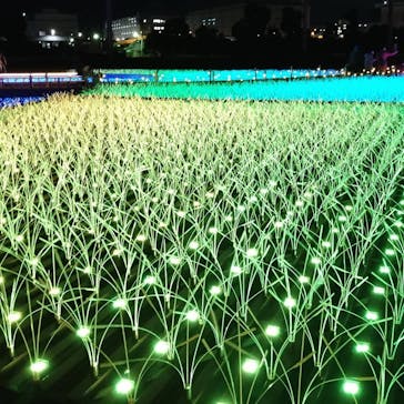 東京メガイルミに投稿された画像（2020/12/15）