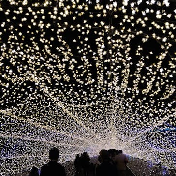 東京メガイルミに投稿された画像（2020/12/15）