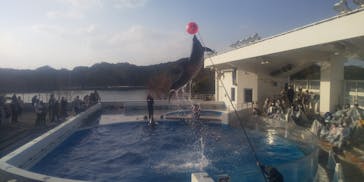 九十九島水族館海きららに投稿された画像（2020/12/15）