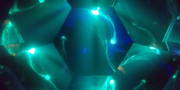 九十九島水族館海きららに投稿された画像（2020/12/15）