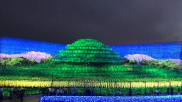 なばなの里に投稿された画像（2020/12/15）