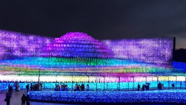 なばなの里に投稿された画像（2020/12/15）