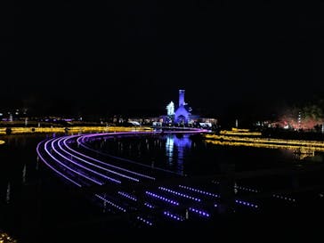 なばなの里に投稿された画像（2020/12/15）