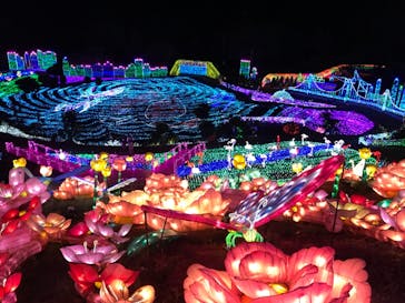 伊豆ぐらんぱる公園に投稿された画像（2020/12/15）