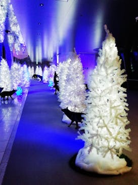 梅田スカイビル・空中庭園展望台に投稿された画像（2020/12/15）