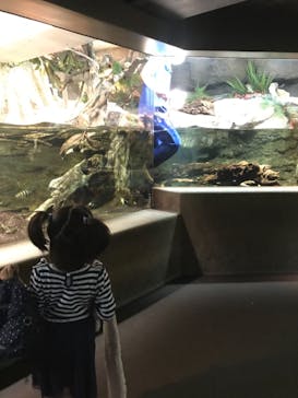 サンシャイン水族館に投稿された画像（2020/12/15）
