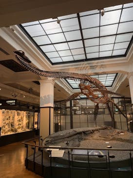 国立科学博物館に投稿された画像（2020/12/16）