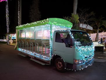 美らヤシパークオキナワ・東南植物楽園に投稿された画像（2020/12/16）