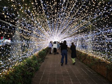 美らヤシパークオキナワ・東南植物楽園に投稿された画像（2020/12/16）