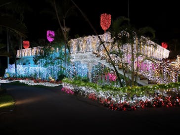 美らヤシパークオキナワ・東南植物楽園に投稿された画像（2020/12/16）