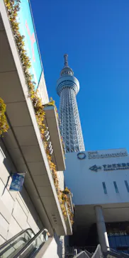 東京スカイツリーに投稿された画像（2020/12/16）