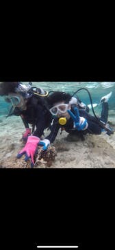 武藤潜水に投稿された画像（2020/12/16）