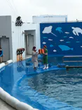 仙台うみの杜水族館に投稿された画像（2020/12/16）